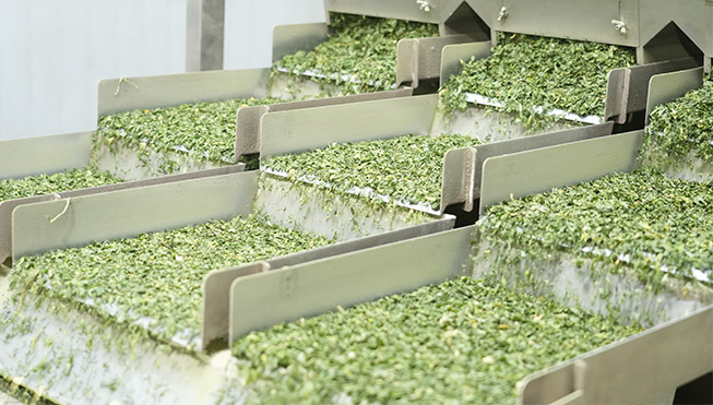 Xinghua Zelenina Foods Co., Ltd.